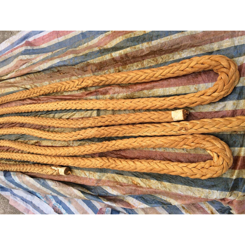 Ultra High Molecolar Weight Polyethylene Ropes Mooring Rope Inner, Double Braids PE Outside