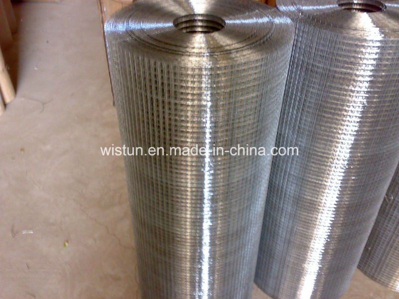 Galvanzied Welded Wire Mesh PVC Coated Welded Wire Mesh Low Price!