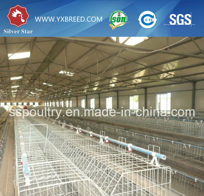 Chicken Layer Battery Cage for Farm