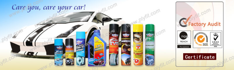 Car Care Car Leather Polish Wax for Anti Dust Coating