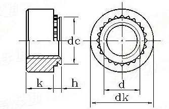 Clinch Nut (stainless steel) M2~M10