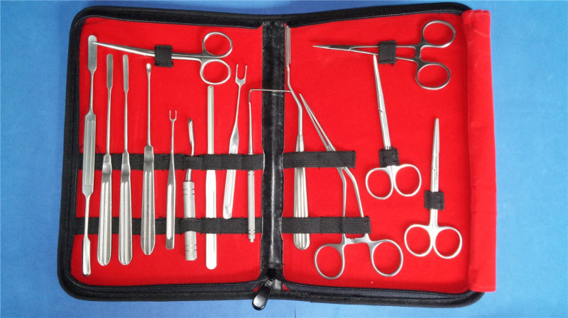 Rhinoplasty Instruments for Cosmetic Surgery