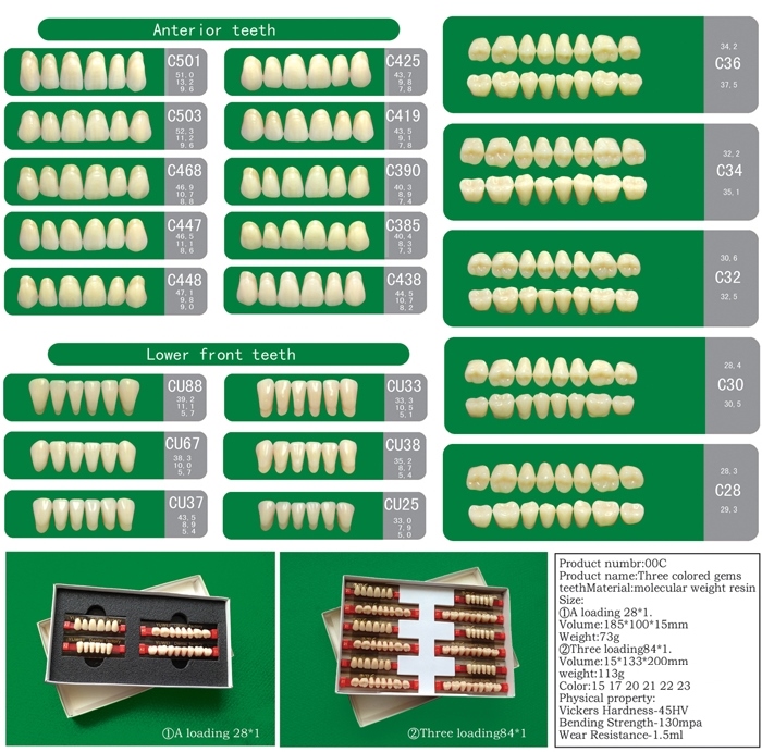 SA31 Three Layer Acrylic Resin Teeth