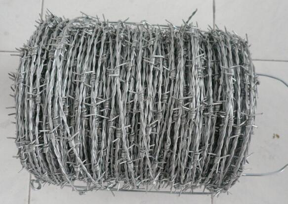 High Quality New Design Barbed Wire