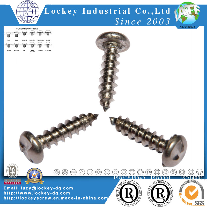 Stainless Steel One Way Round Head Tapping Screw