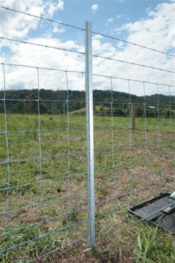 Cheap Star Pickets Posts (Australian/NZ Style Y post)