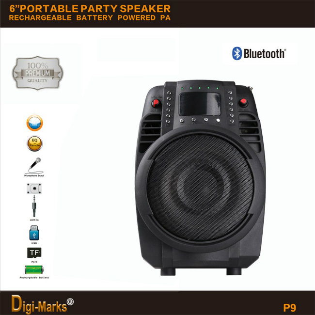 Best-Seller Portable Wireless LED Stage Stereo Radio FM Bluetooth Speaker