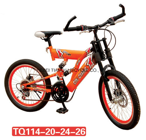 Cheap Steel OEM Accepted Double Suspension MTB/Bike for Adult