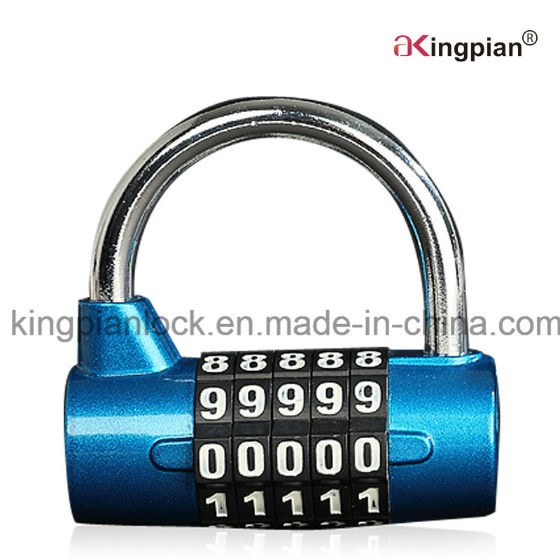 5 Digit Resettable Combination Lock