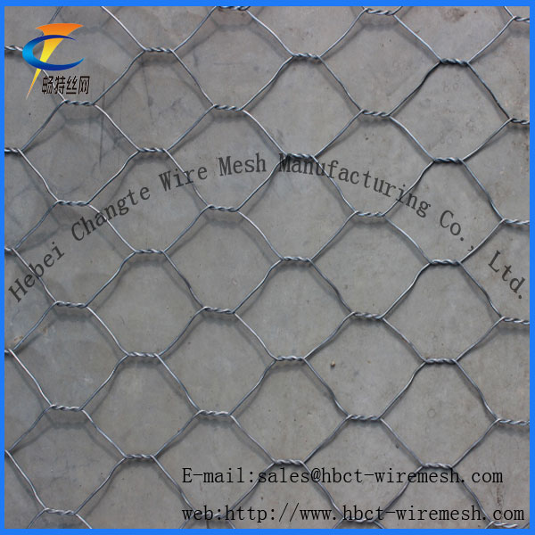 (PVC / Hot / Electric) Gabion Wire Mesh (6*8 8*10)