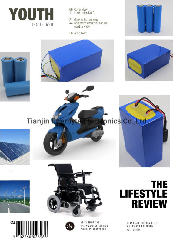 Rechargeable LiFePO4 Battery Pack 12V 10ah