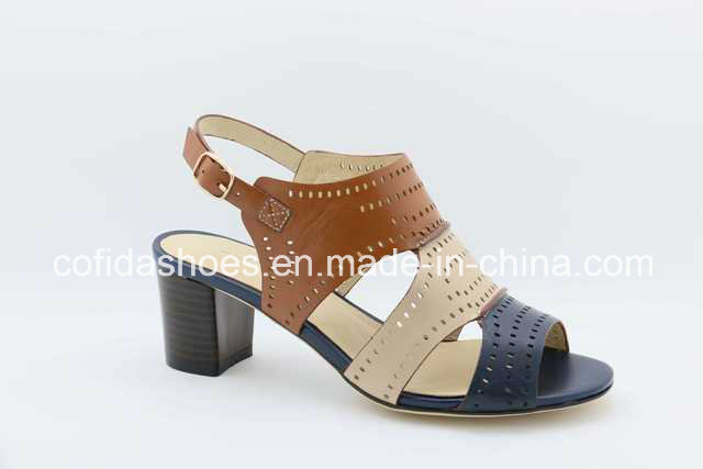 New Sexy High Heels Lady Sandals for Fashion Women