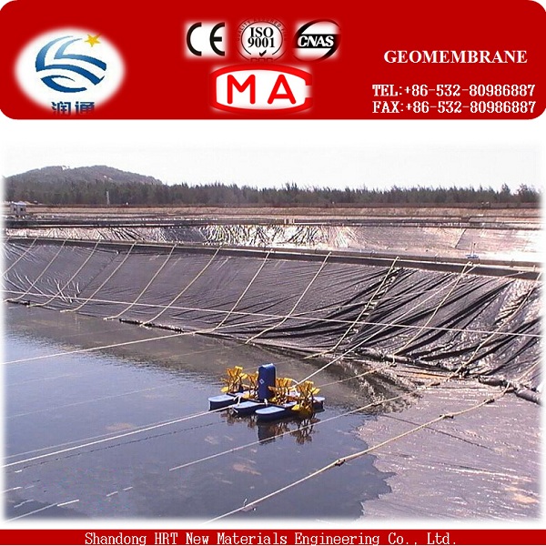 HDPE Pond Liner HDPE Geomembrane for Swimming Pond