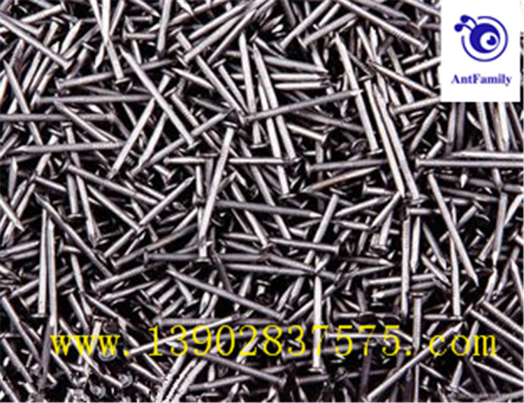 common nail, iron nail, common wire nail