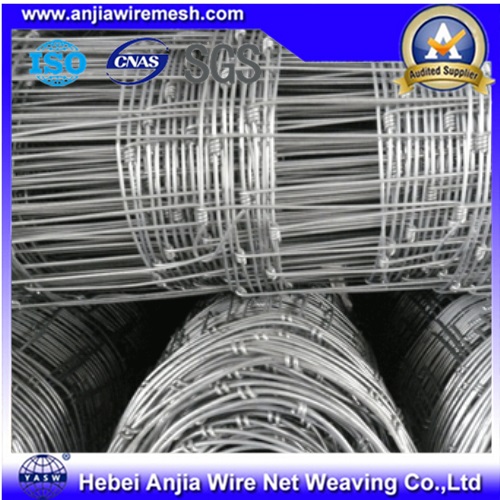 Galvanized Knotted Wire Mesh Cattle Fence Using in Herd, Field Fence, Fixed Fence