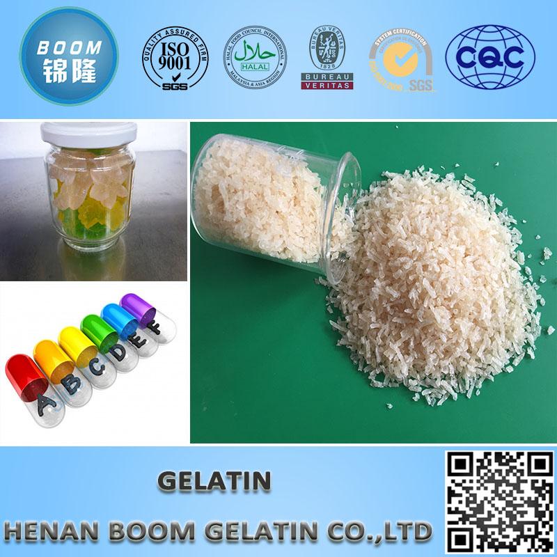 Adhesive Gelatin