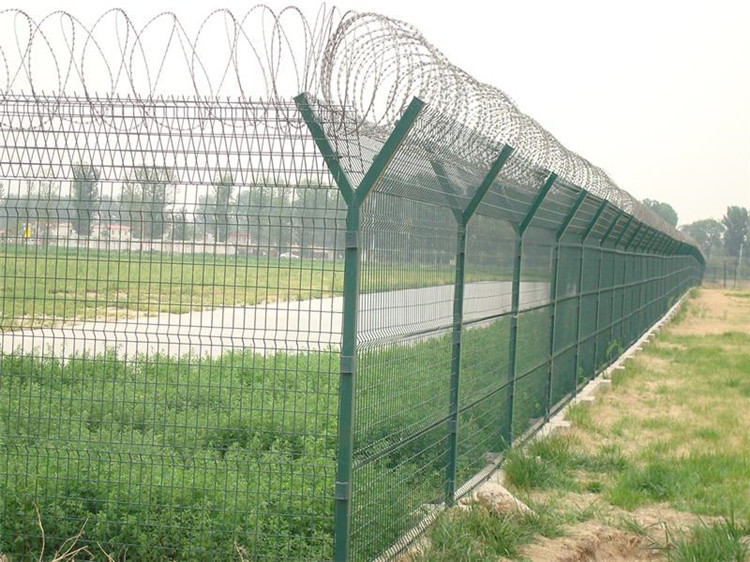 Wire Mesh Fence Galvanized/PVC Coated Made in China Is on Hot Sale