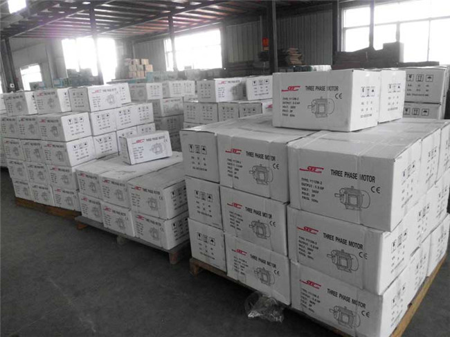 Y Series, 1HP-20HP, Three-Phase, Cast Iron Frame, AC Electric Motor