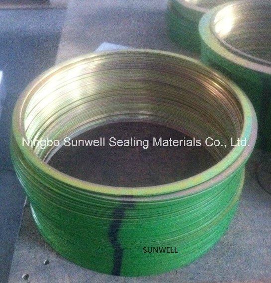 Inner and Outer Ring Gaskets Spiral Wound Gaskets