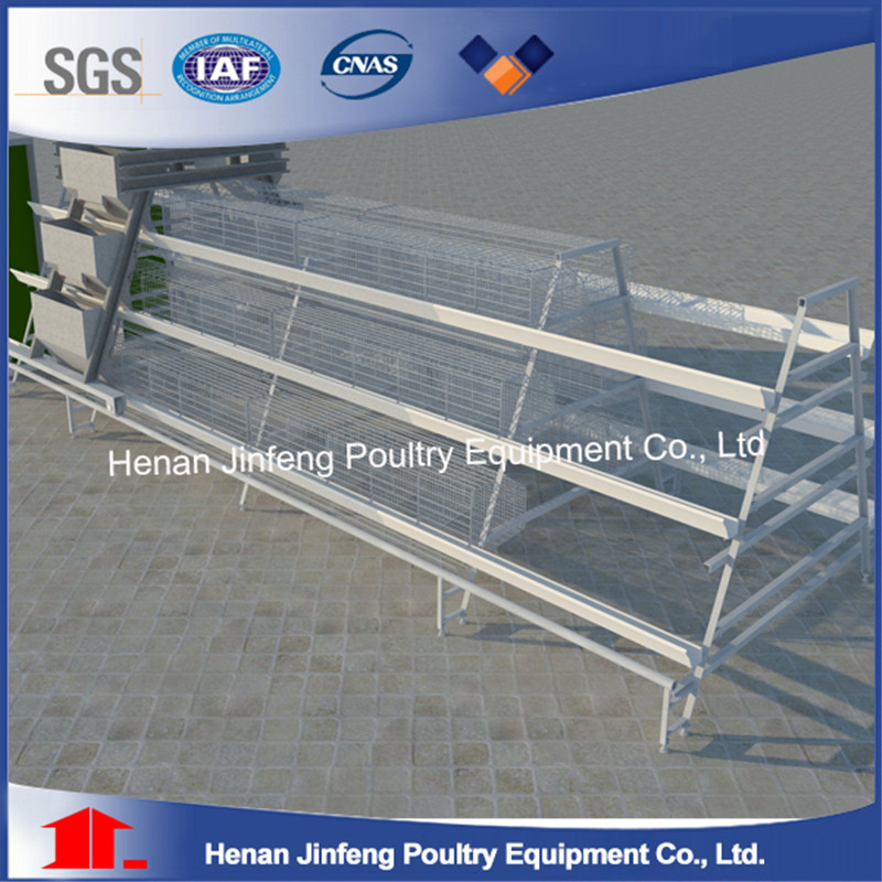 Automatic Poultry Farm Equipment Machine for Chicken House (9LDT-5-1L0-25)