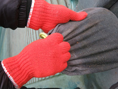 Light Stretchy Gloves Dck133