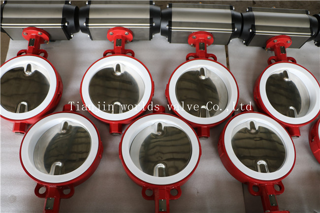 Split Body Wafer Type Butterfly Valve with Polishing Disc (CBF04-TA01)