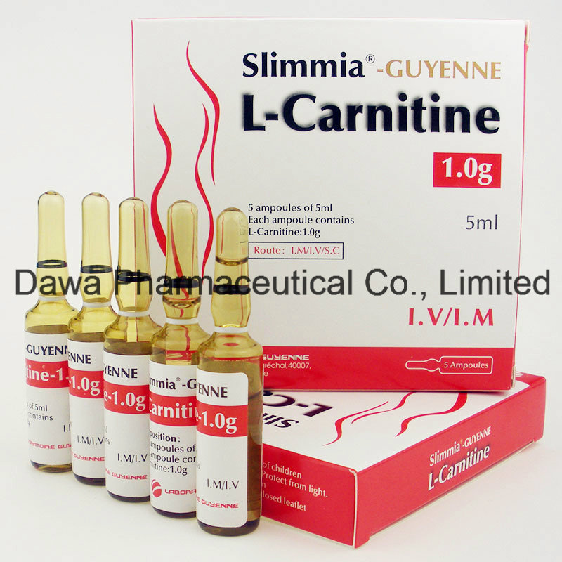 Good Effect for Body Building Loss Weight L-Carnitine Injection 1.0g