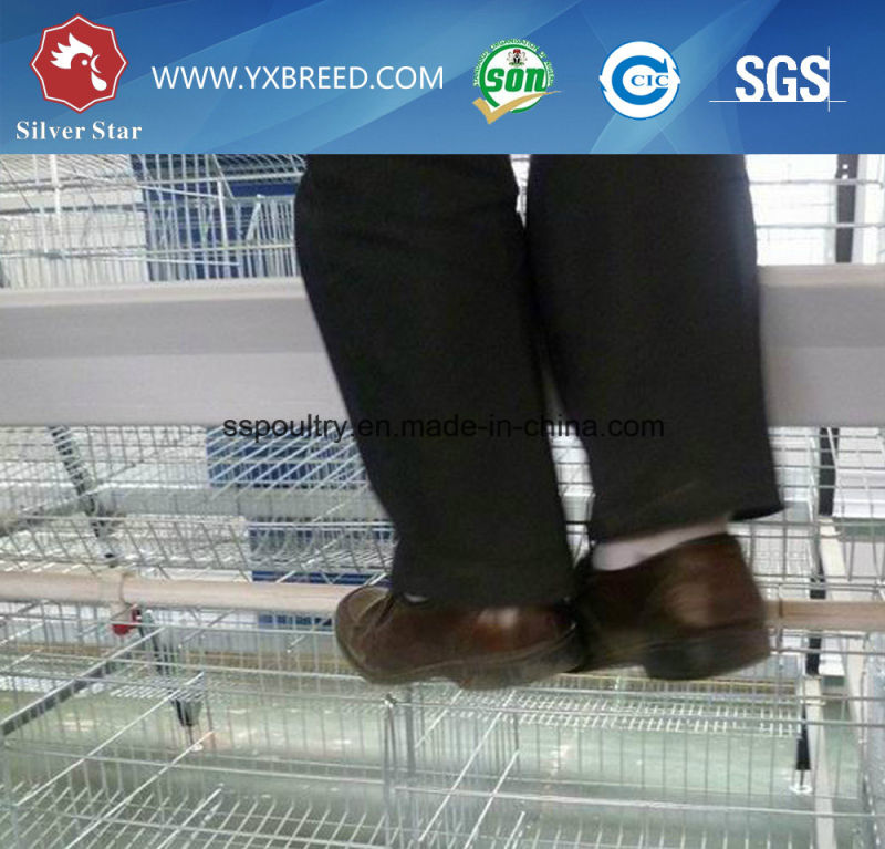 Galvanized 3-Tier Egg Laying Hen Battery Cage