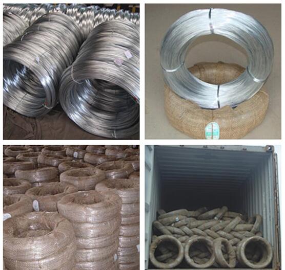 Galvanized Iron Wire for Binding