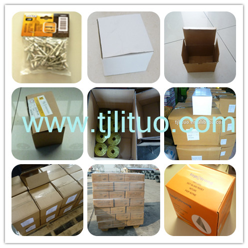 Hi-Lo Thread Concrete Window Screw Concrete Self Tapping Screws