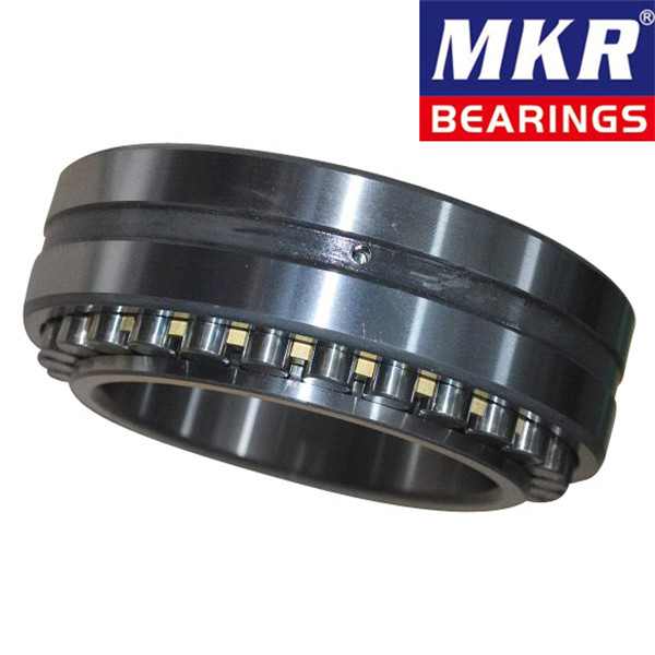 Rodamientos/ Bearing/ SKF/ NSK/ Koyo/ Timken Bearing/China Bearing