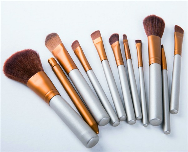 Wisdom 11PCS Professional Cosmetic Makeup Brush Set with Canvas