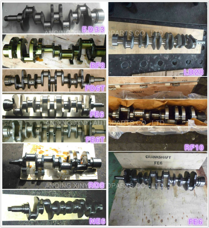 Auto Part Crankshaft for Nissan Tb48 Engine