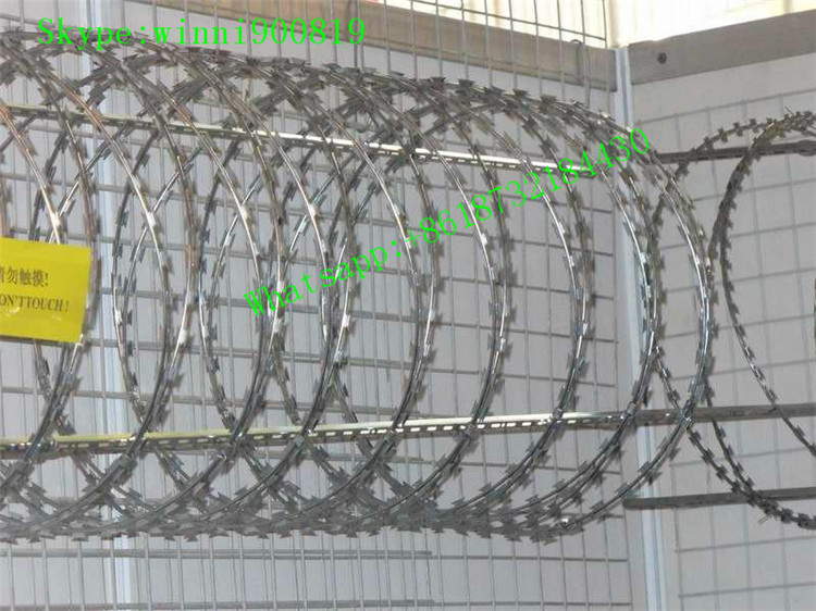 Good Quality Razor Barbed Wire with Lower Price