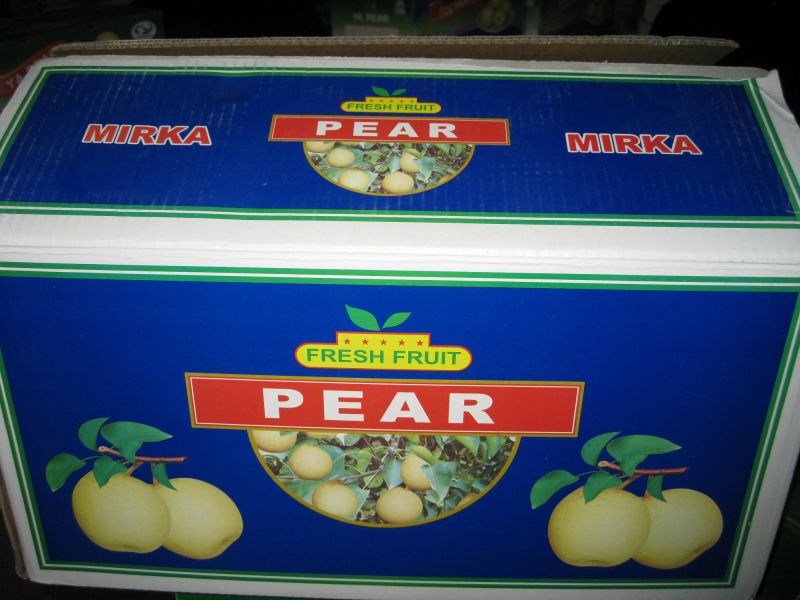 Fresh Chinese New Crop Ya Pear