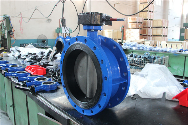 Double Flanged Butterfly Valve Without Pin