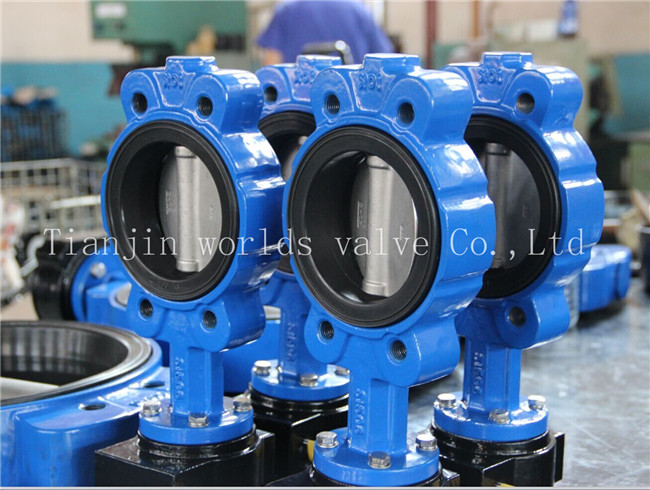 Semi-Lug Type Butterfly Valve with Ce ISO Wras Certificates