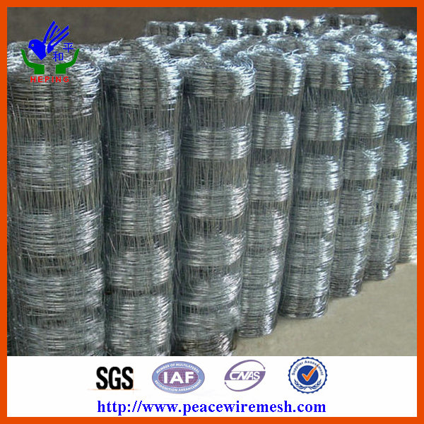 Hot-Dipped Galvanized Field Fence (EFF-05)