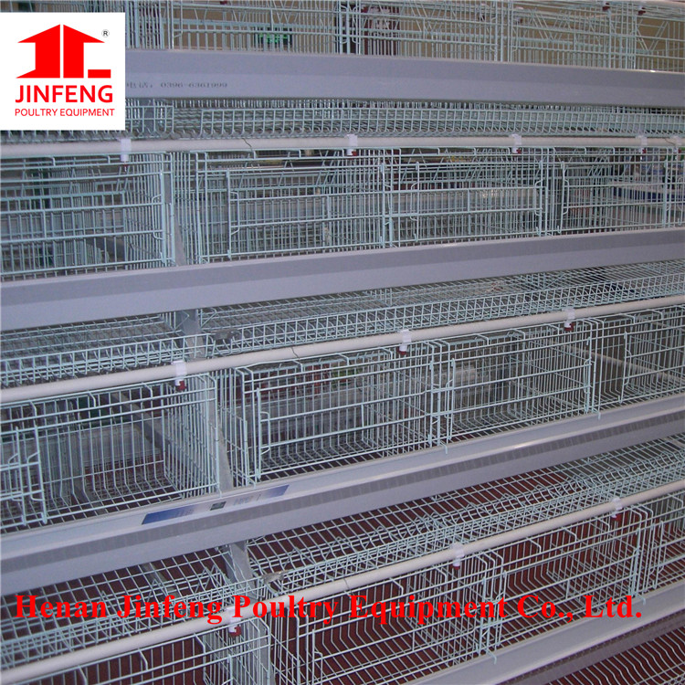 Poultry Equipment Cage with Low Price