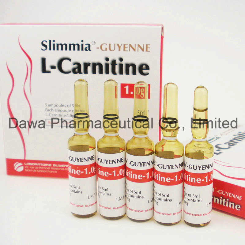 Good Effect for Body Building Loss Weight L-Carnitine Injection 1.0g