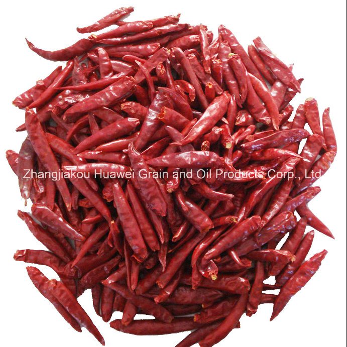 Dried Chili