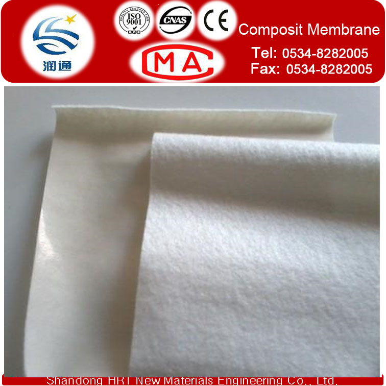 Coat Geotextile HDPE Membrane USD0.75/Sqm for 400g/Sqm for Dam