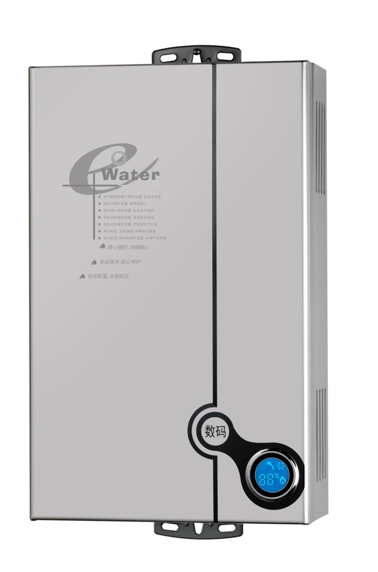 Flue Type Instant Gas Water Heater/Gas Geyser/Gas Boiler (SZ-RS-2)