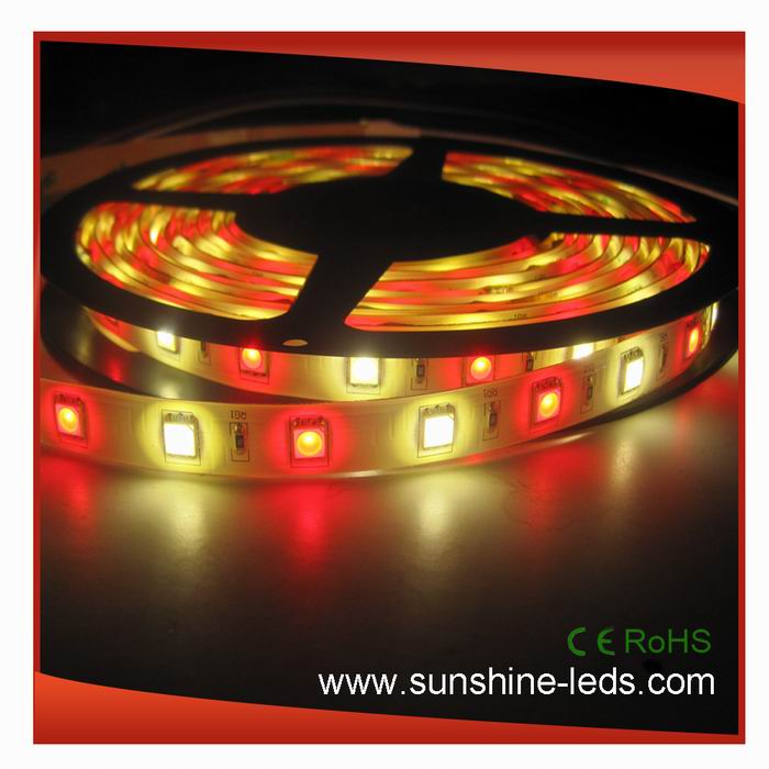 RGBA Color SMD5050 LED Flexible Strip