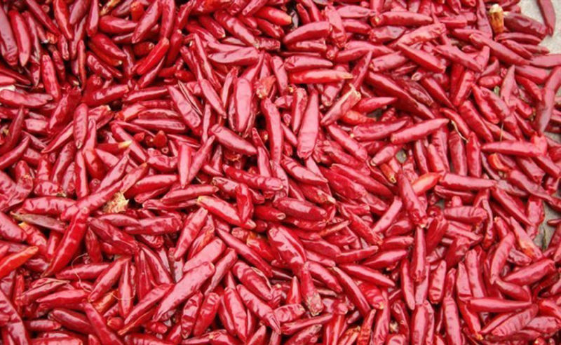 Dehydrated Red Chilli