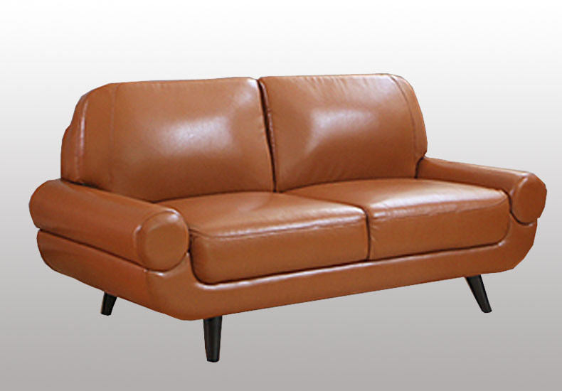 New Design Wooden Leather Sofa for Home