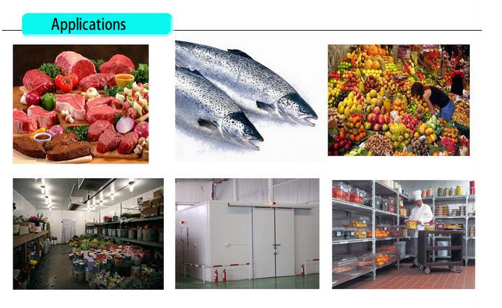 High Quality Food Storage Room, Cold Storage Room for Meat