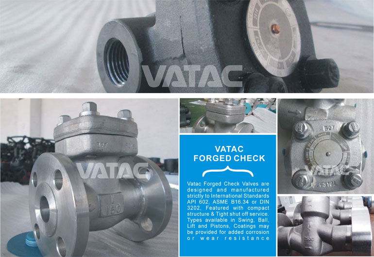 Thread NPT and Welding Sw/Bw Forged Swing Check Valve