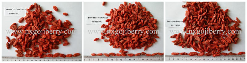 Dried Goji Berry Fruit