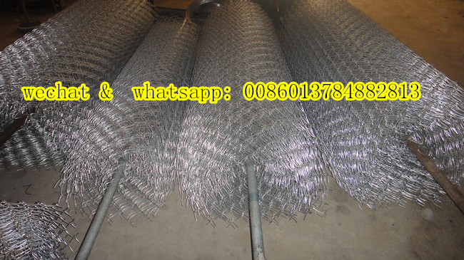 Galvanized Chain Link Fence (Factory Exporter)